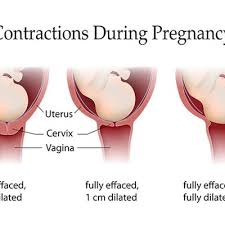 Ibu hamil saat kandungannya memasuki usia ini sangat membutuhkan lebih banyak makanan yang banyak. Tanda Tanda Hendak Bersalin