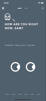With introduction of watchos 6 this app works directly on your watch without an iphone companion. Mood Tracker App Moodistory The 1 Privacy Mood Tracker