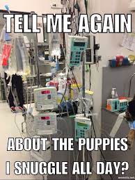Pin On Veterinary Nurse Vet Tech Humor