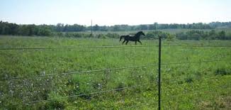 Maybe you would like to learn more about one of these? Fence Posts For Horses Pasturepro
