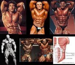 4 Packs 6 Packs Or 8 Packs Islandbeachbody