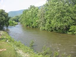 Diy Guide To Fly Fishing Lycoming Creek In North Central