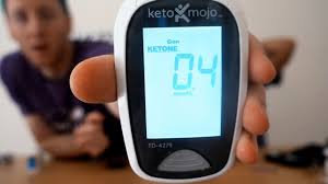 Whats A Ketone Blood Test And Do You Need One To Succeed