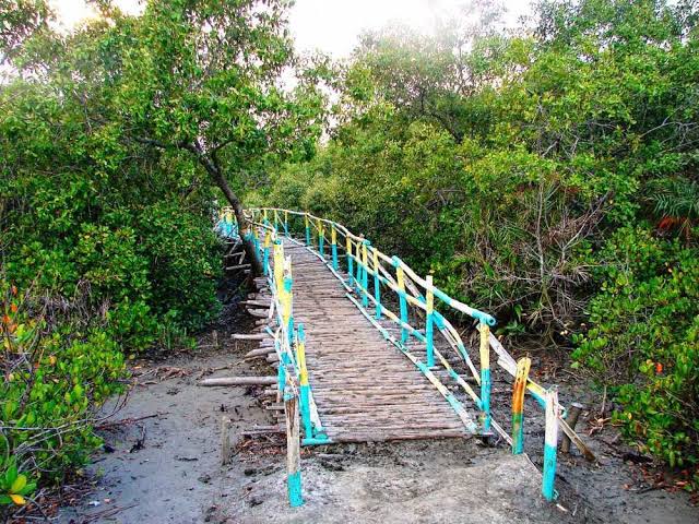 Mangrove wooden trail at Henry's Island, AI generated
