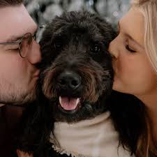 ace elliott (@aceydoodle) • Instagram photos and videos