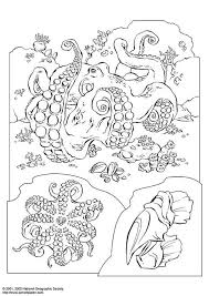 Pin On Color Me Adult Coloring Pages
