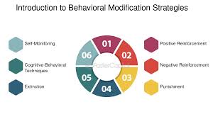Image result for Behavior Modification