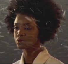 Video Projects — Carrie Mae Weems