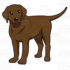 We did not find results for: Cartoon Drawing Of Labrador Novocom Top