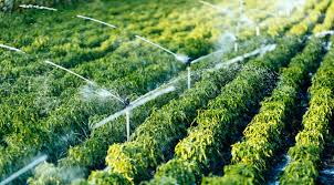 Benefits of Chemical Injection Pumps for Agriculture - ITC Chemical  Injection Pumps