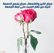 صور صباح الحب والاشتياق صباح الحب والشوق صباح الحب حبيبتي Zina Blog Glass Vase Plants Vase