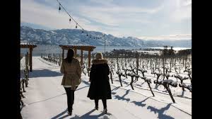 This page is dedicated to documenting, celebrating, and preserving the collective history of kelowna. Experience Winter In Kelowna Youtube