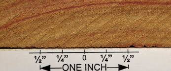 Image result for Centrolobium robustum