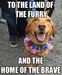 Pin On Makes Me Laugh