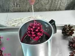 Soak the pine cones for eight hours. How To Pine Cone Fire Starters Youtube