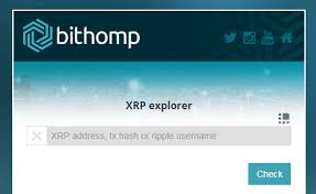 Wondering where to buy ripple (xrp)? Ripple Ecosystem Xrp Coil Codius Xspring Stedas Dizajn