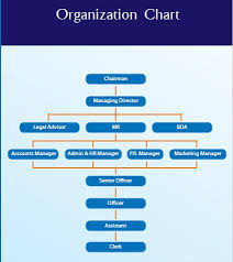 organization chart people hrs pvt ltd