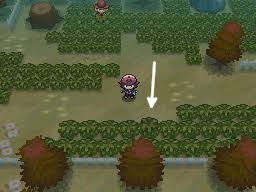 You can unlock the ability to let your friends with black 2 access white forest. Pokemon Shaking Spots Wild Encounters In Black White Pokemon Database