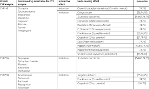 Potential Herb Drug Interactions With Drugs Metabolized By Cyp1 And Download Table