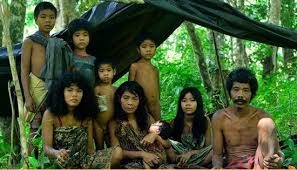 Suku yang ada di pulau sulawesi selanjutnya adalah suku bugis. 10 Suku Asli Indonesia Yang Terasing Dan Terancam Punah Tentik