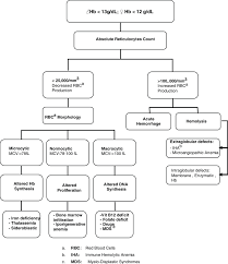 1 Flow Chart For Identifying The Causes Of Anemia By