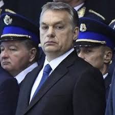 The New York Times in Print for Sunday, February 11, 2018