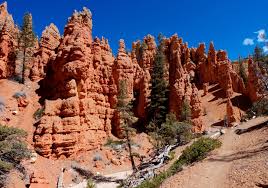 Red Canyon Utah Just Discover Pink Ledges Trail In Red Canyon Outside Of Bryce What A Beautiful Little Hike Awesome Bryce Canyon Utah Canyon