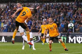 Read about everton v wolves in the premier league 2019/20 season, including lineups, stats and live blogs, on the official website of the premier league. Wolves V Everton 2018 19 Premier League