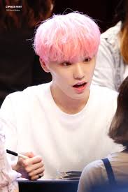 Seventeen group member dino korean name finger hearts 100 page 6 x 9 blank lined notebook kpop merch journal book for carat fandom (seventeen . Image About Seventeen In K Pop By Venus Mermaid