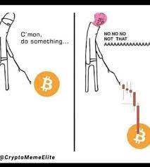 23% of gen z is investing in memes like dogecoin (only 9% in nfts). Share Your Favorite Crypto Meme Some Laughter Will Do Us Good During This Bear Trend 1018 By Basia General Discussions Cardano Forum