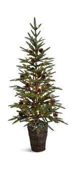 Fraser fir christmas trees near me. Christmas T Farms 3 Fraser Fir With White Hom Furniture
