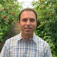 Daniel Mathieson Email & Phone Number