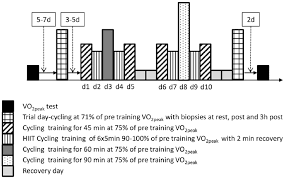 Image result for training effect schema