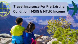 We have a wide range of plans that are catered to your family's needs. Travel Insurance For Pre Existing Condition Msig Ntuc Income Review