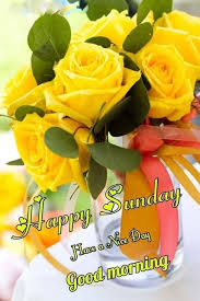 You may be looking for good morning happy sunday images for whatsapp dp, whatsapp status, instagram story, telegram, facebook, and messenger story. Good Morning Happy Sunday Good Morning Nature Facebook
