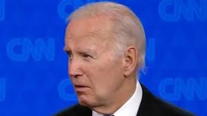 Humpback whales 'happier' during the pandemic, research finds