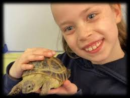 St. Mary's Catholic Primary School