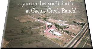 View listing photos, review sales history, and use our detailed real estate filters to find the perfect place. Cactus Creek Ranch Llc Horses Quarter Horses If It Involves A Horse