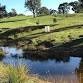 Celebrate Environmental and Cultural Flows - Barossa event image