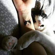 Son Igualitos Tatto De Gatos Tatuaje Gato Disenos De Tatuaje De Gato