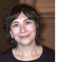 PDF) Particulate matter in the ambient air as a risk factor of bronchial  asthma in adults