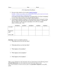 The genetic information of all organisms resides in the individual dna molecules or chromosomes. Online Onion Root Tip Assignment