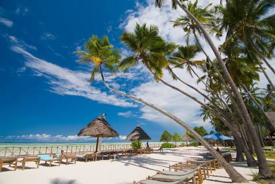 Tanzania wildlife and Zanzibar travel destination