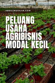 Peluang Usaha Rumahan Agribisnis Tanaman Pengusaha