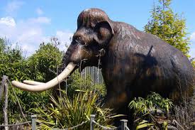 Free shipping on orders over $25.00. Stone Age Animals Ks2 Everything You Need To Know By Kidadl