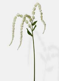 White Amaranth Wedding Flowers Wedding Floral Centerpieces Unique Wedding Centerpieces Simple Wedding Flowers