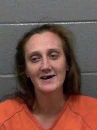 Trooper: Pregnant woman drunk, passes out, while caring for toddlers