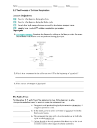 Photosynthesis and cellular respiration 3 processes of cellular respiration: Section 9 2 The Process Of Cellular Respiration