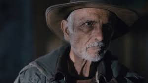 Lin Shaye filmografia