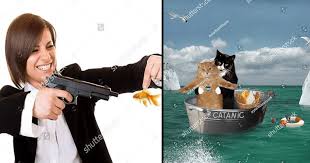 23 Weird Af Stock Photos That Will Leave You With Questions Memebase Funny Memes Последние твиты от cursed images (@cursedimages). 23 weird af stock photos that will